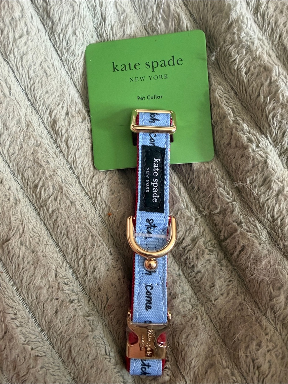 kate spade Light Blue Pet Collar with Gold Hardware